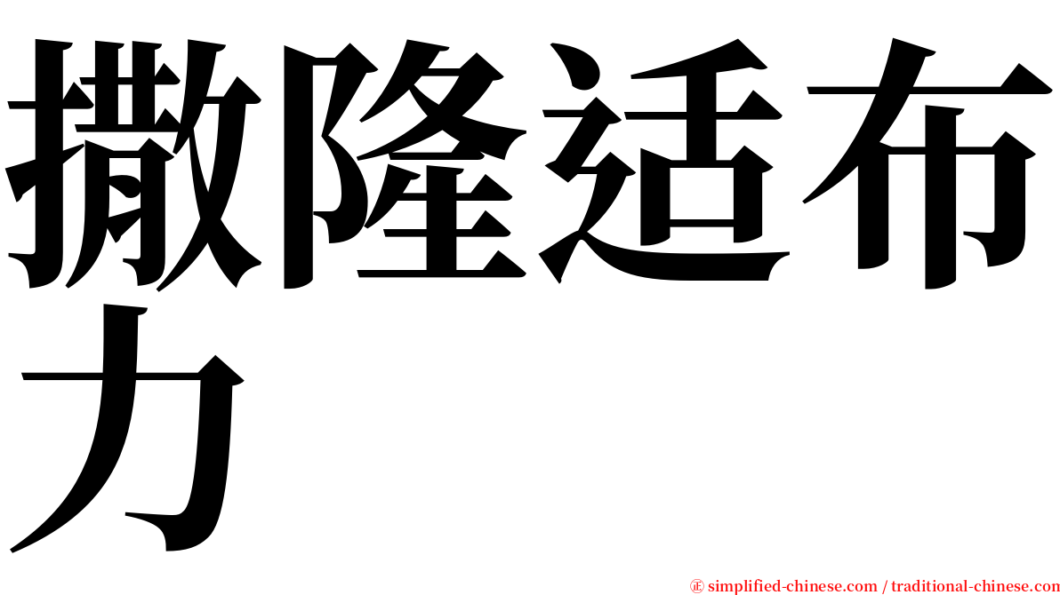撒隆适布力 serif font