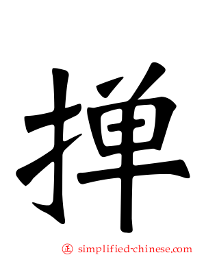 掸