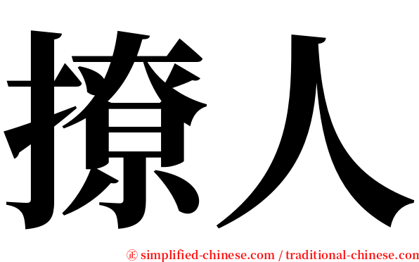 撩人 serif font