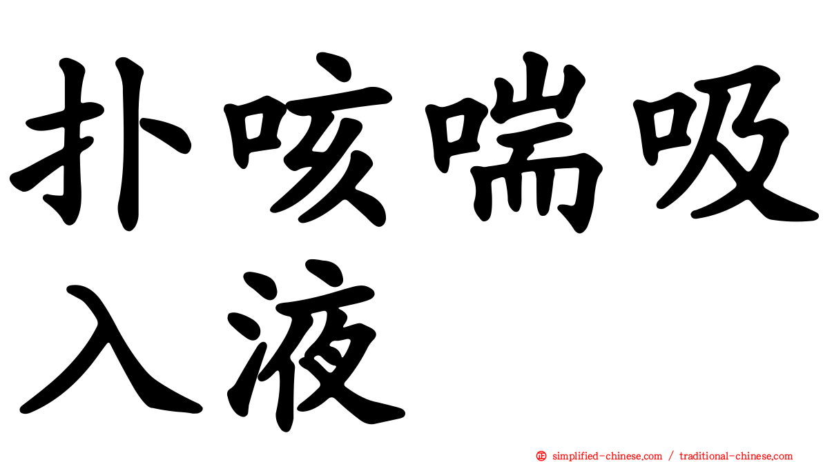 扑咳喘吸入液