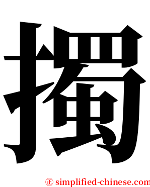 擉 serif font