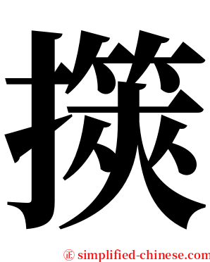 擌 serif font