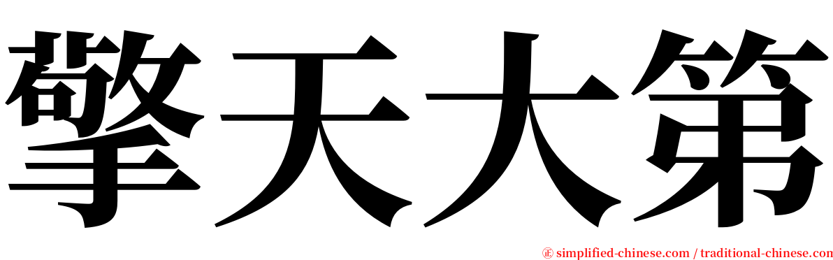 擎天大第 serif font