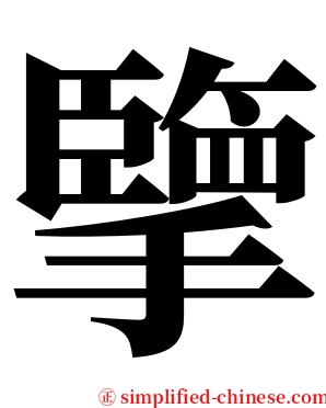 擥 serif font