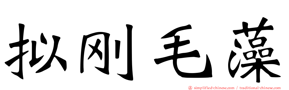 拟刚毛藻