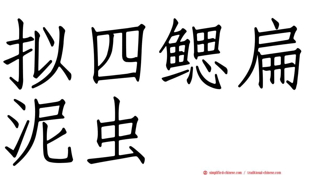 拟四鳃扁泥虫