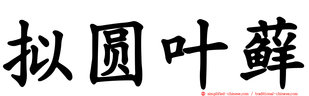 拟圆叶藓