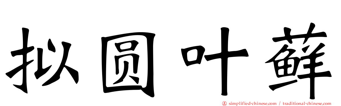 拟圆叶藓