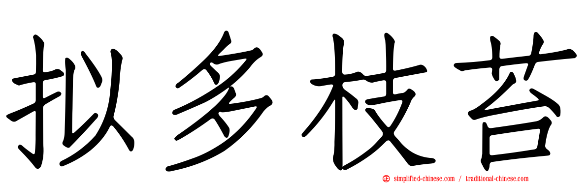 拟多枝苔