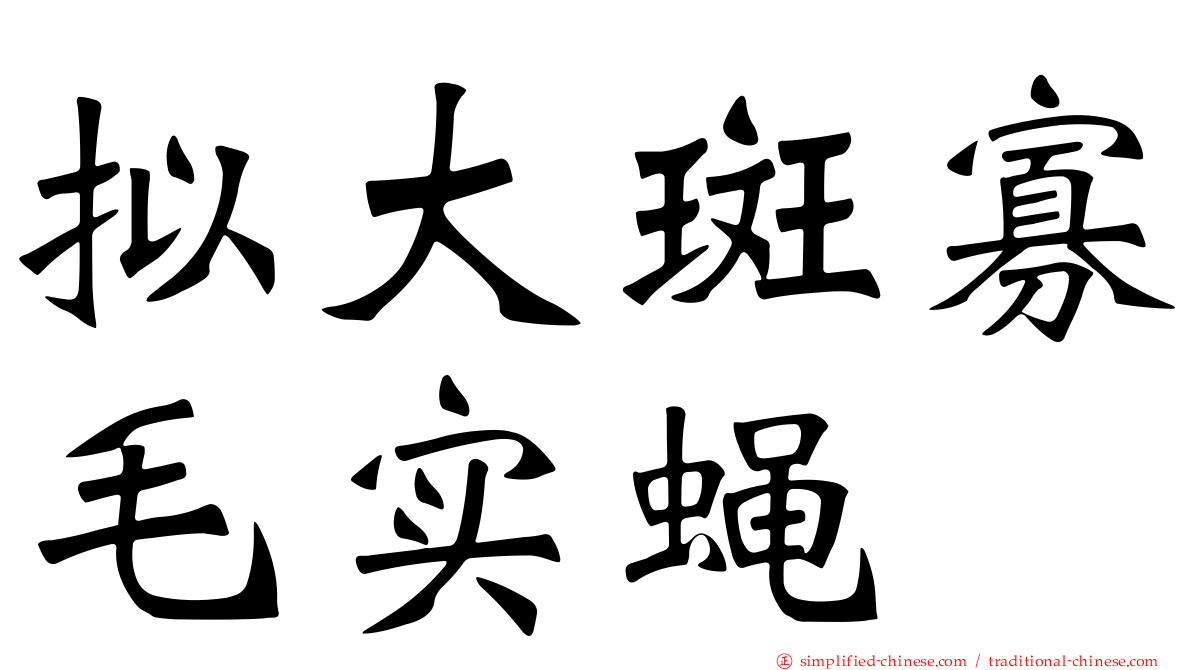 拟大斑寡毛实蝇