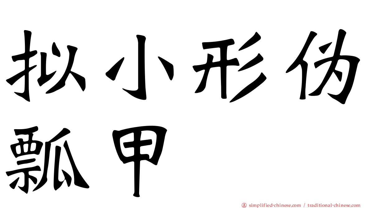 拟小形伪瓢甲