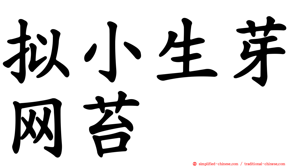拟小生芽网苔