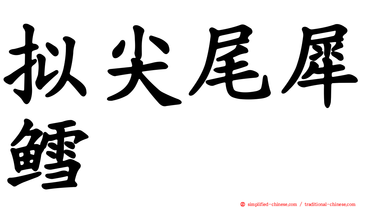 拟尖尾犀鳕