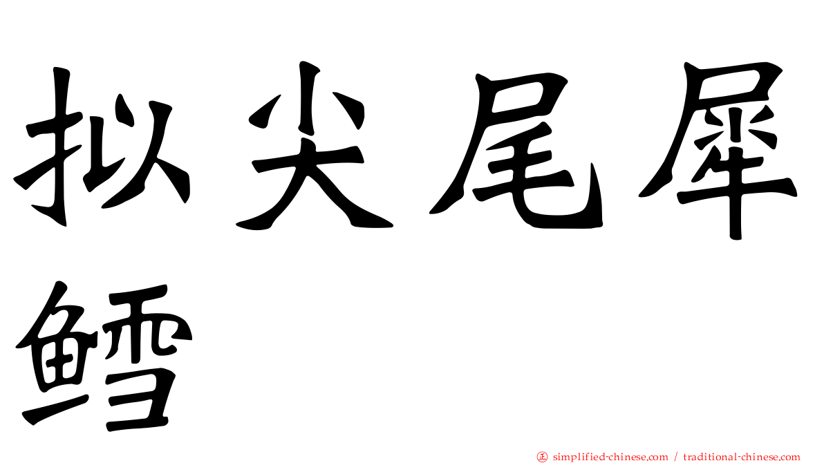 拟尖尾犀鳕