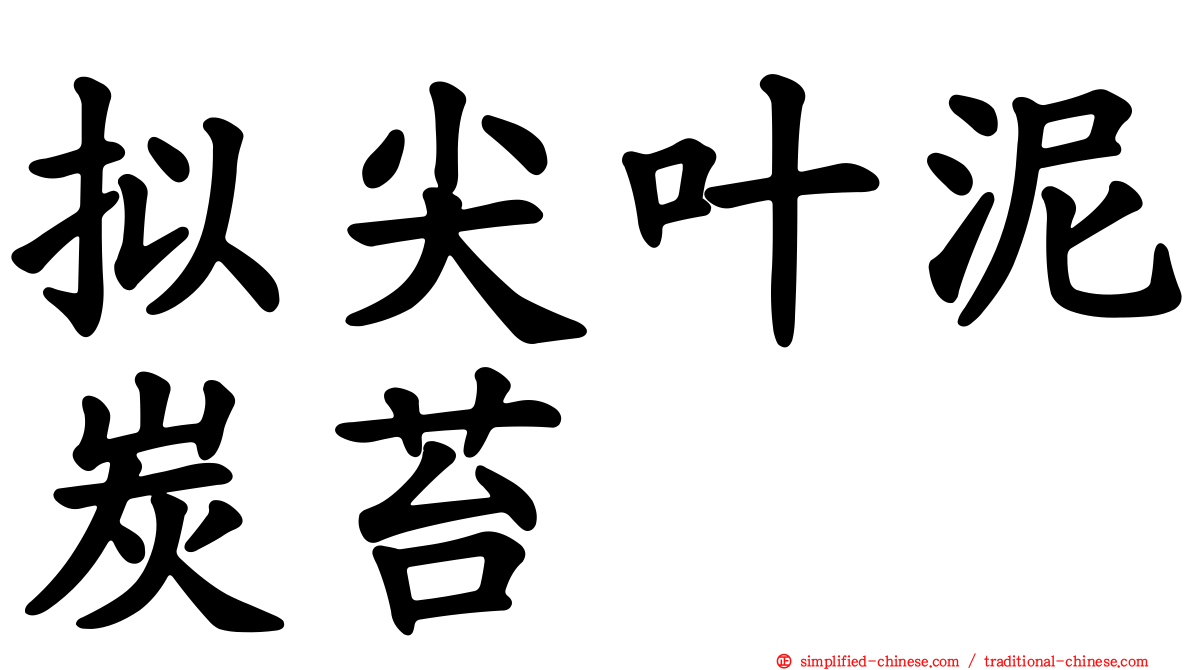 拟尖叶泥炭苔