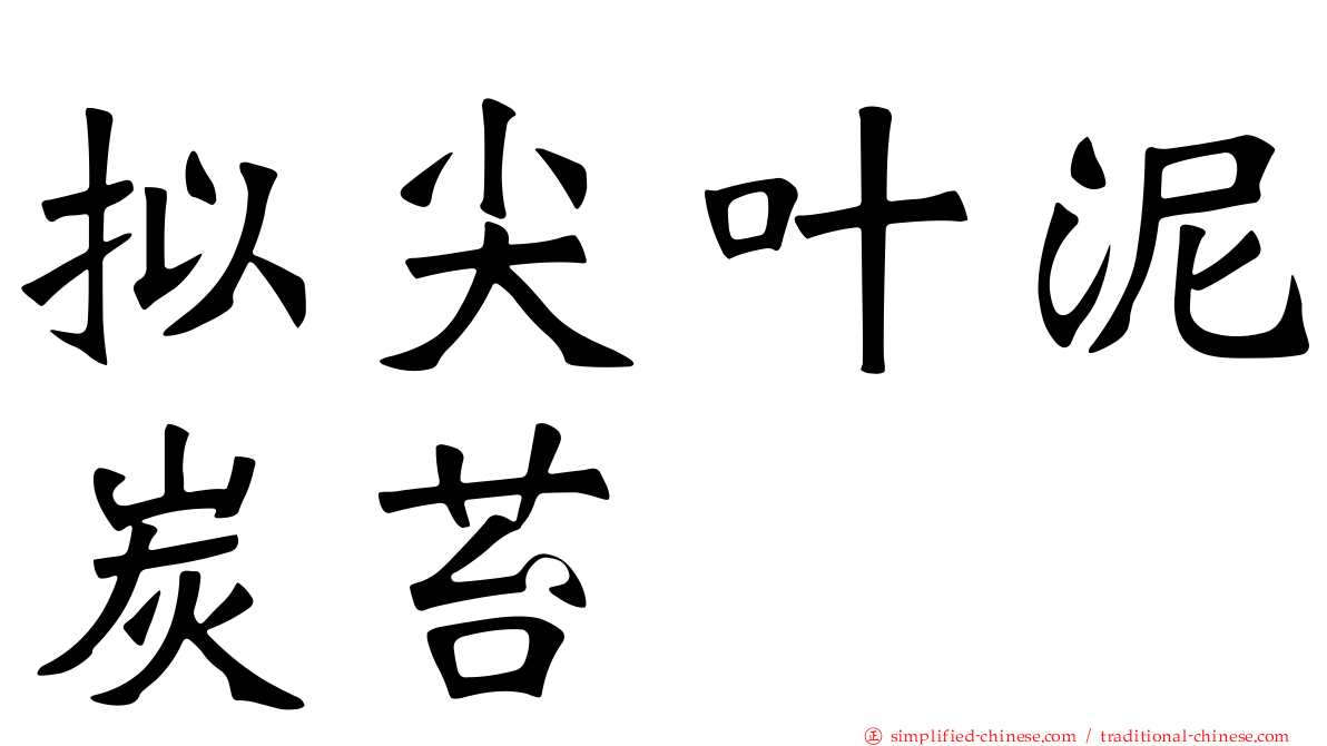 拟尖叶泥炭苔