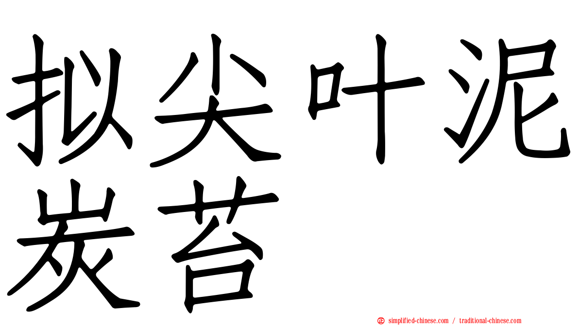 拟尖叶泥炭苔