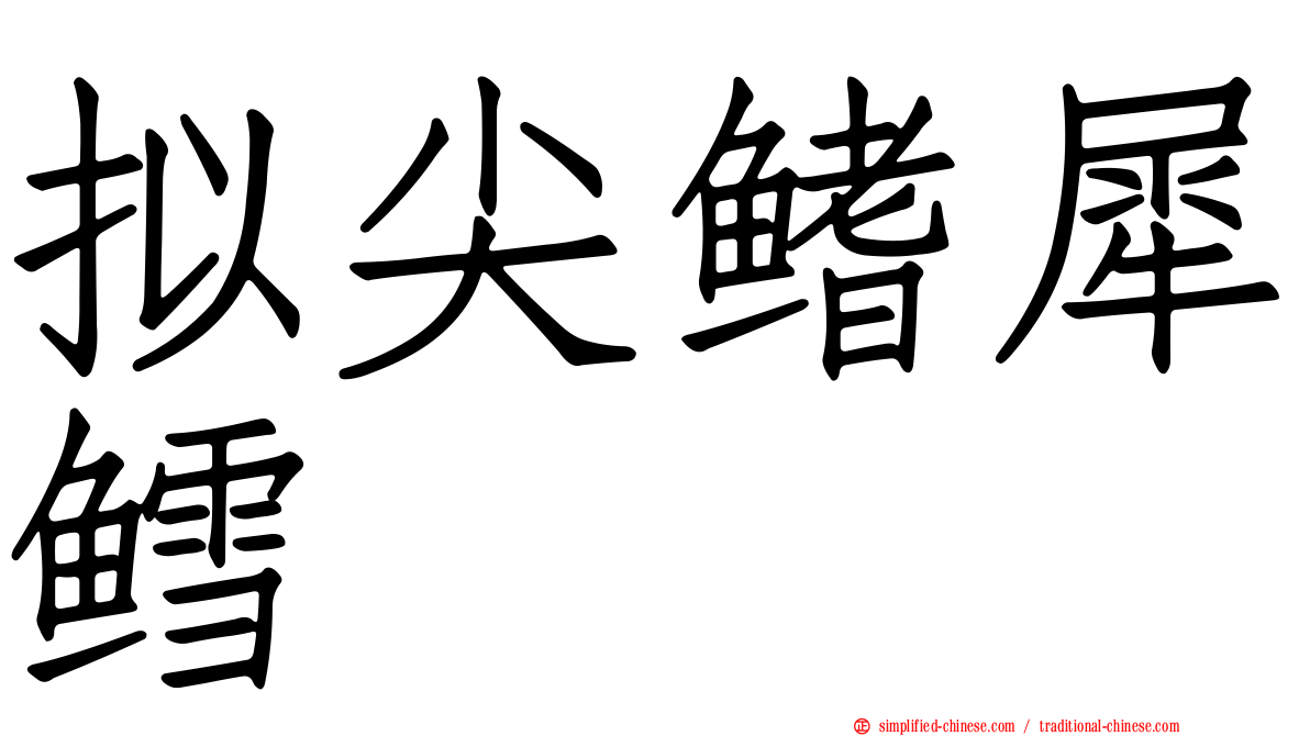 拟尖鳍犀鳕