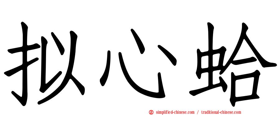 拟心蛤