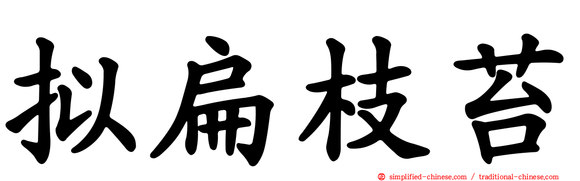 拟扁枝苔