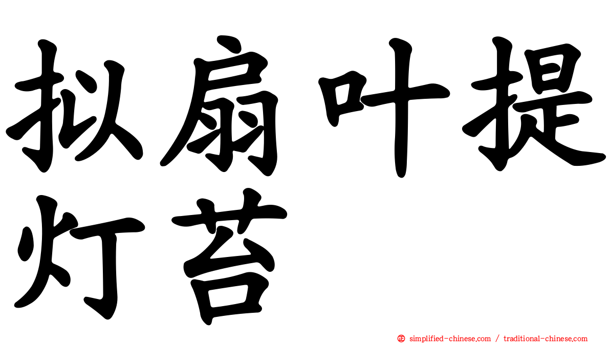 拟扇叶提灯苔