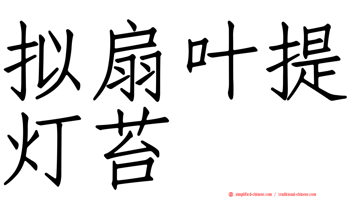 拟扇叶提灯苔