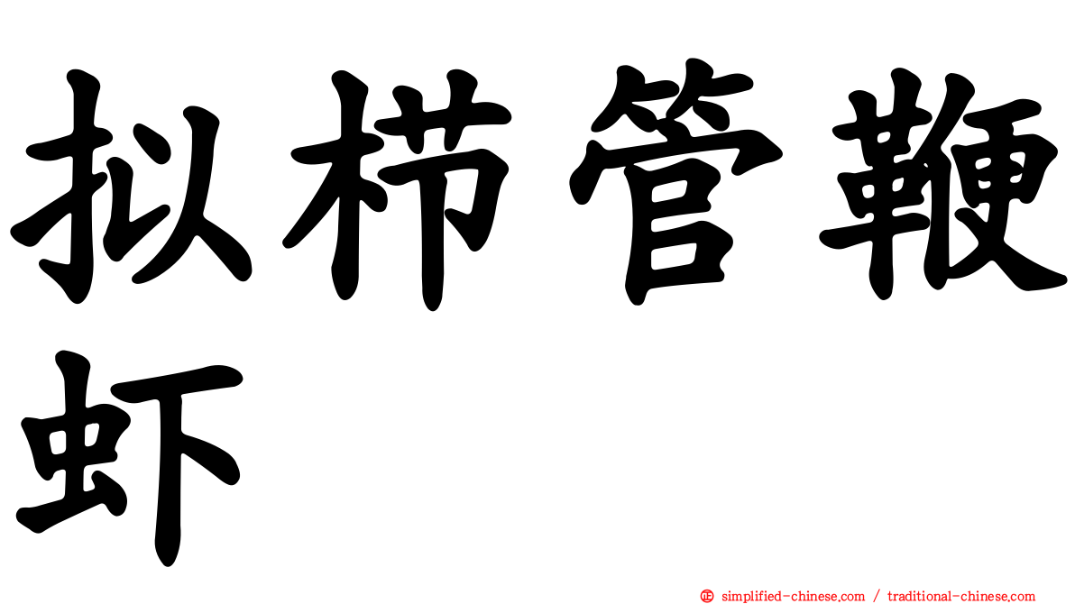 拟栉管鞭虾