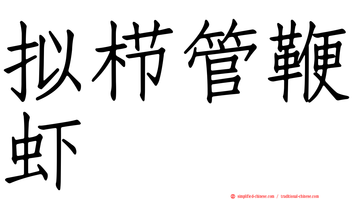 拟栉管鞭虾