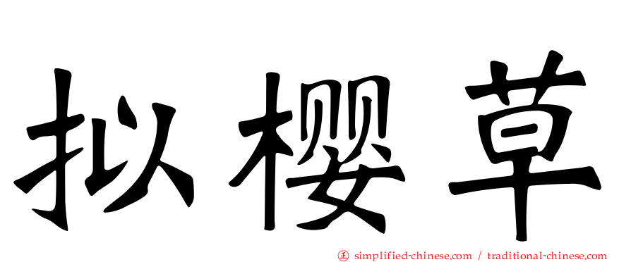 拟樱草