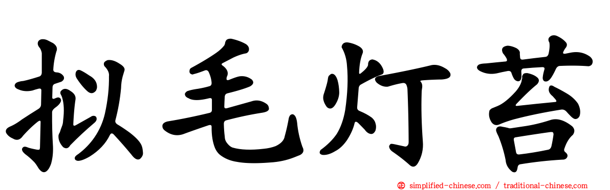 拟毛灯苔