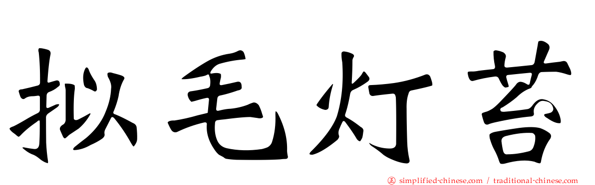 拟毛灯苔