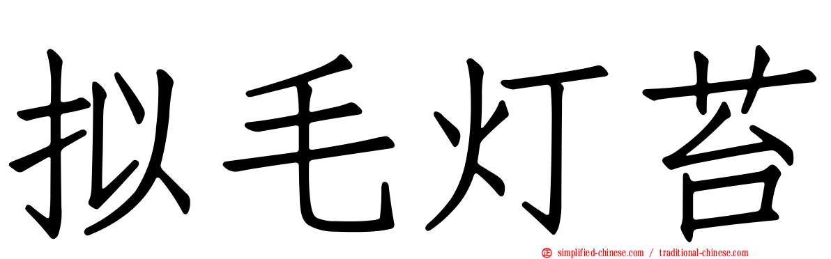 拟毛灯苔