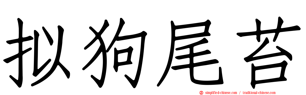 拟狗尾苔