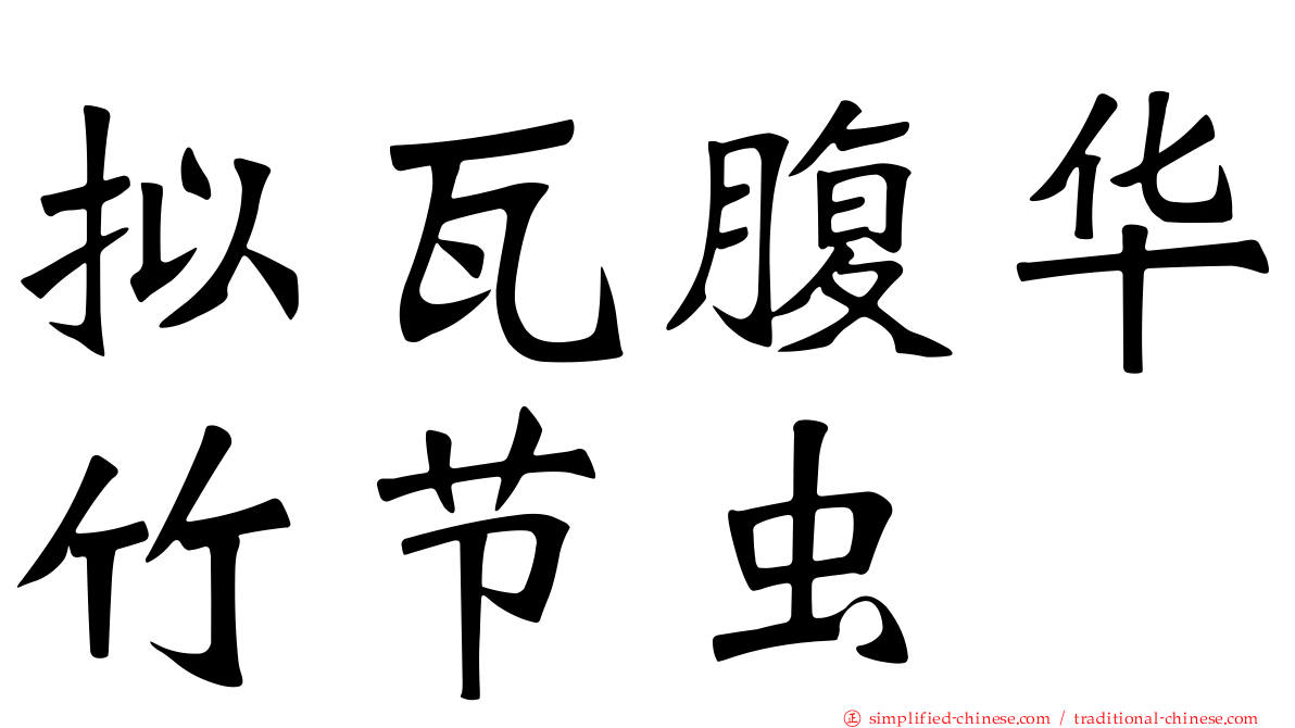 拟瓦腹华竹节虫