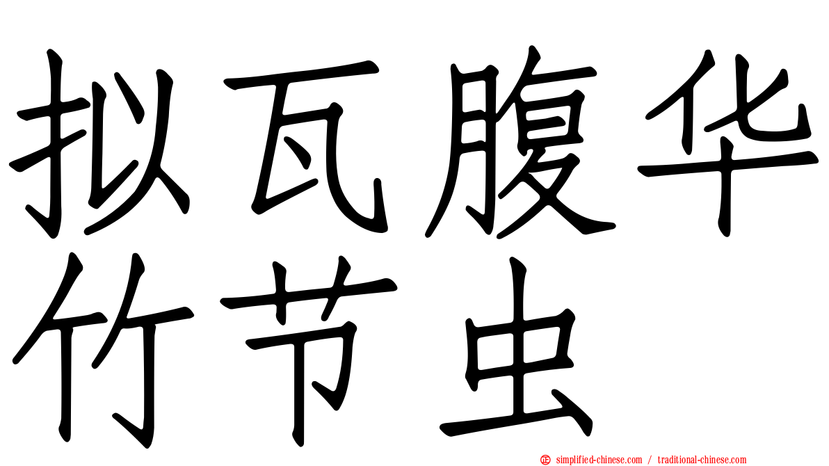 拟瓦腹华竹节虫