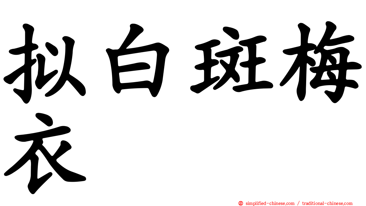 拟白斑梅衣