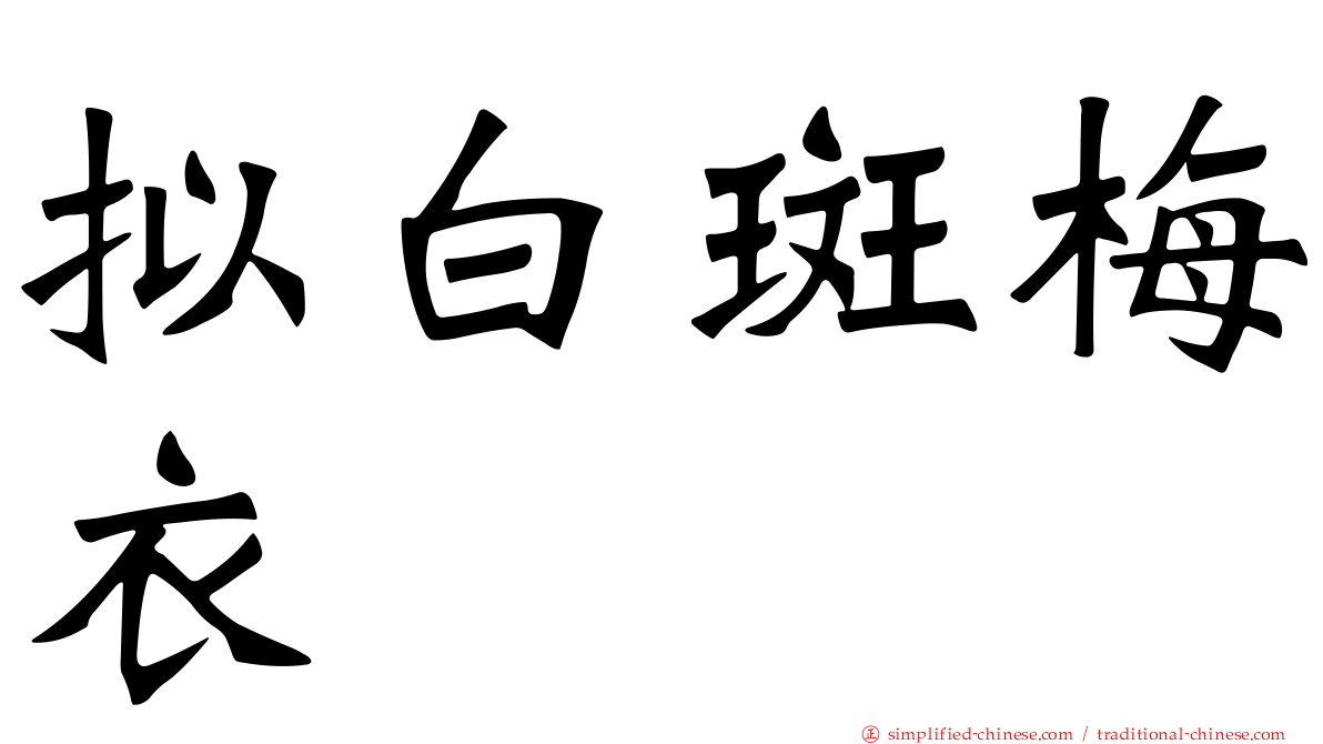 拟白斑梅衣