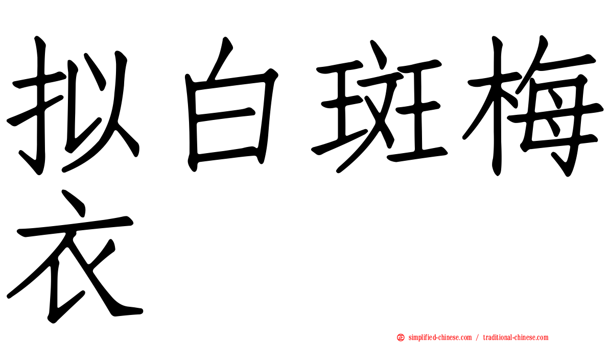 拟白斑梅衣