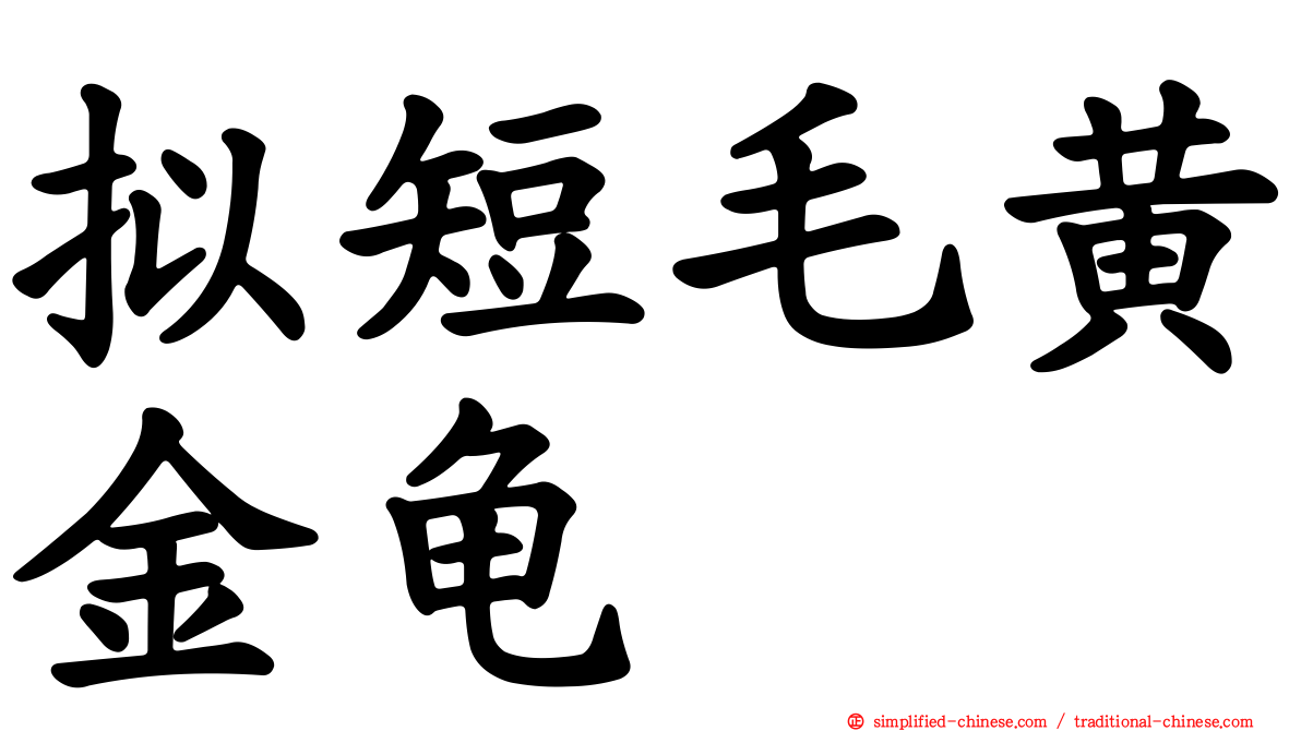 拟短毛黄金龟