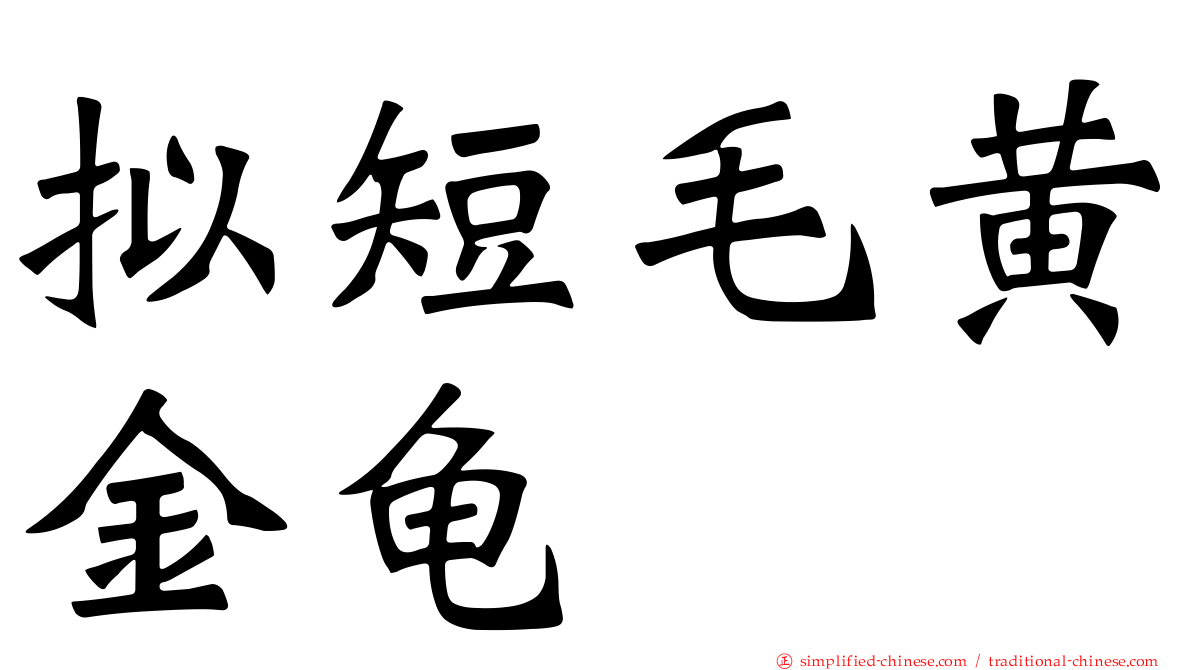 拟短毛黄金龟