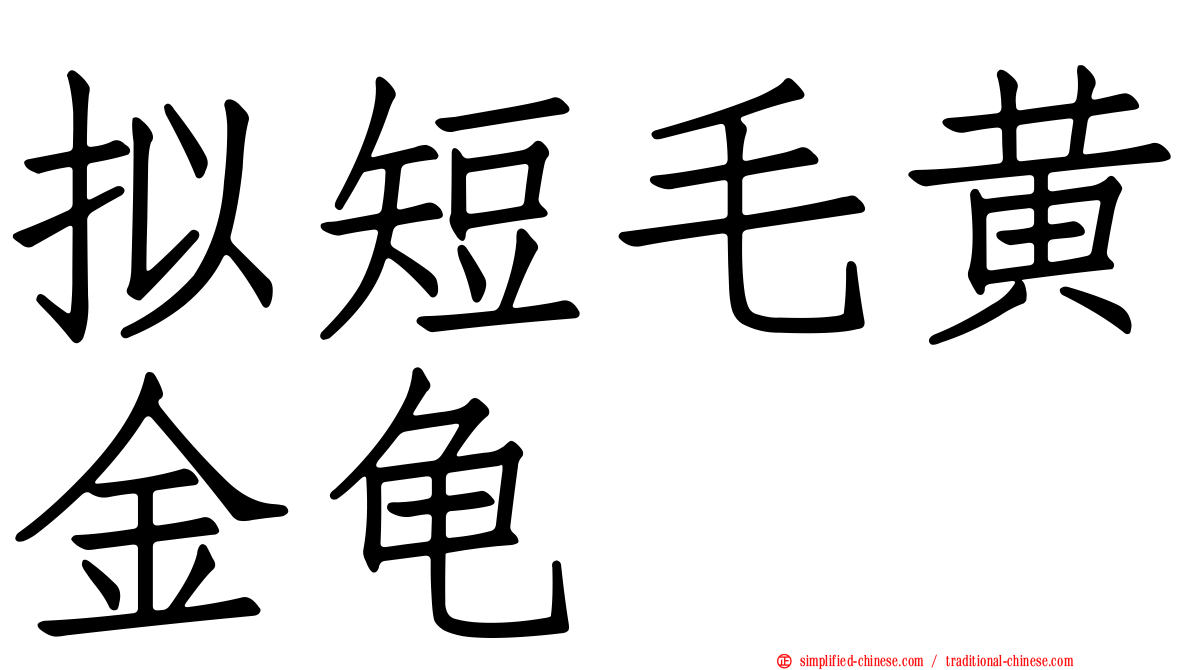 拟短毛黄金龟
