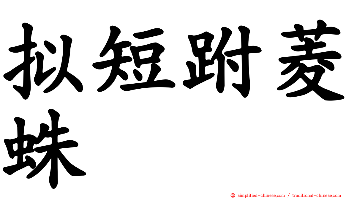 拟短跗菱蛛