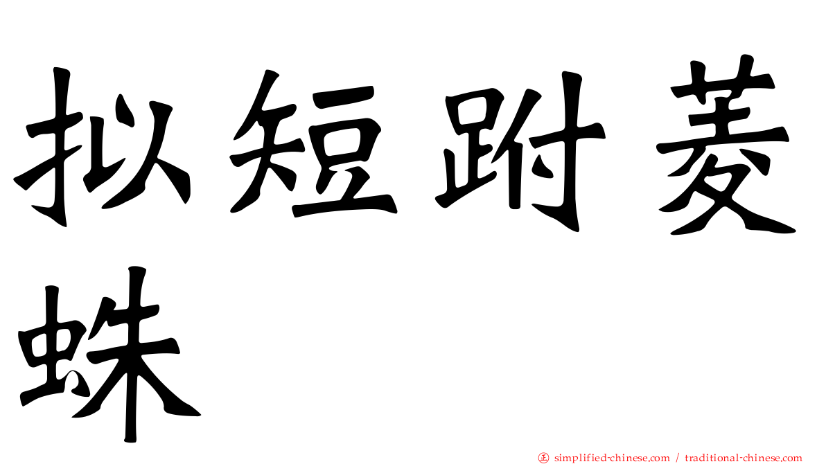 拟短跗菱蛛