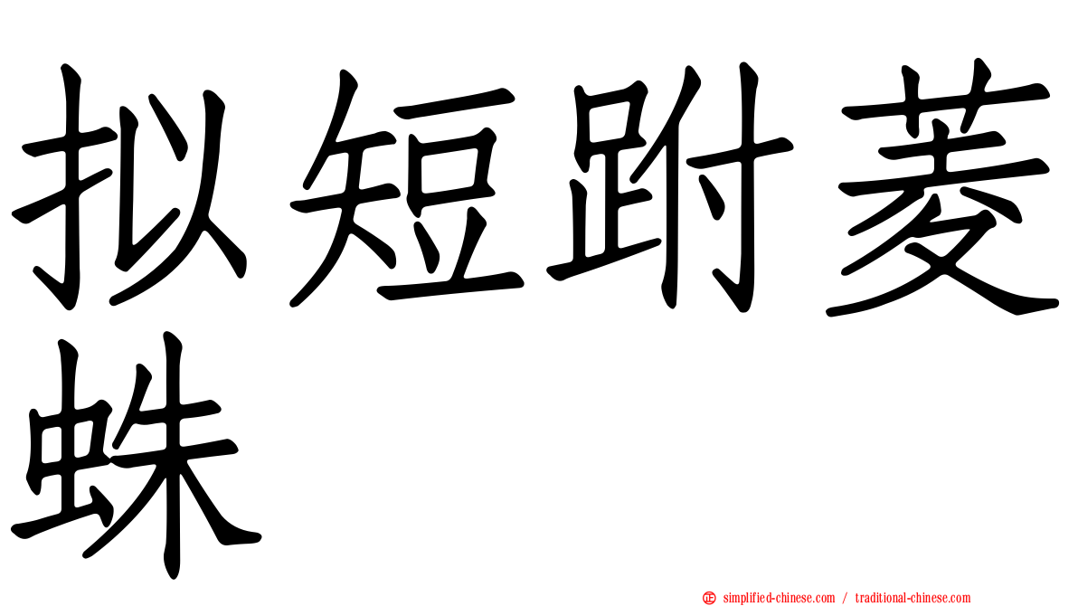 拟短跗菱蛛