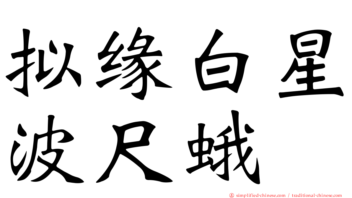 拟缘白星波尺蛾