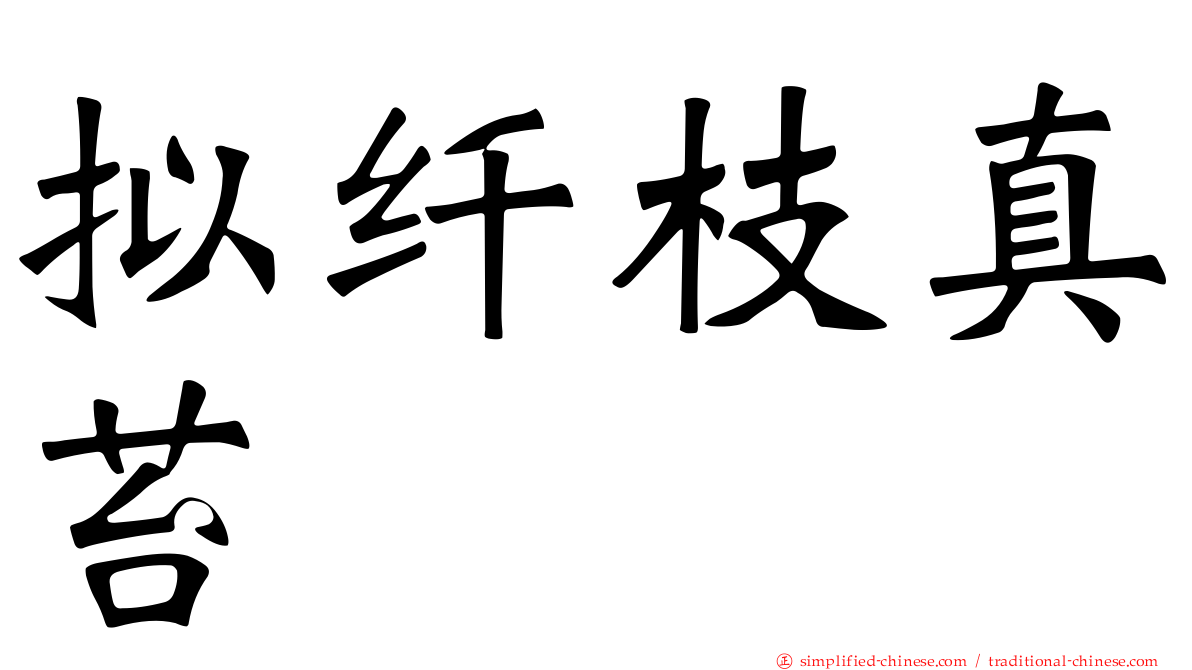 拟纤枝真苔
