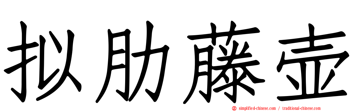 拟肋藤壶