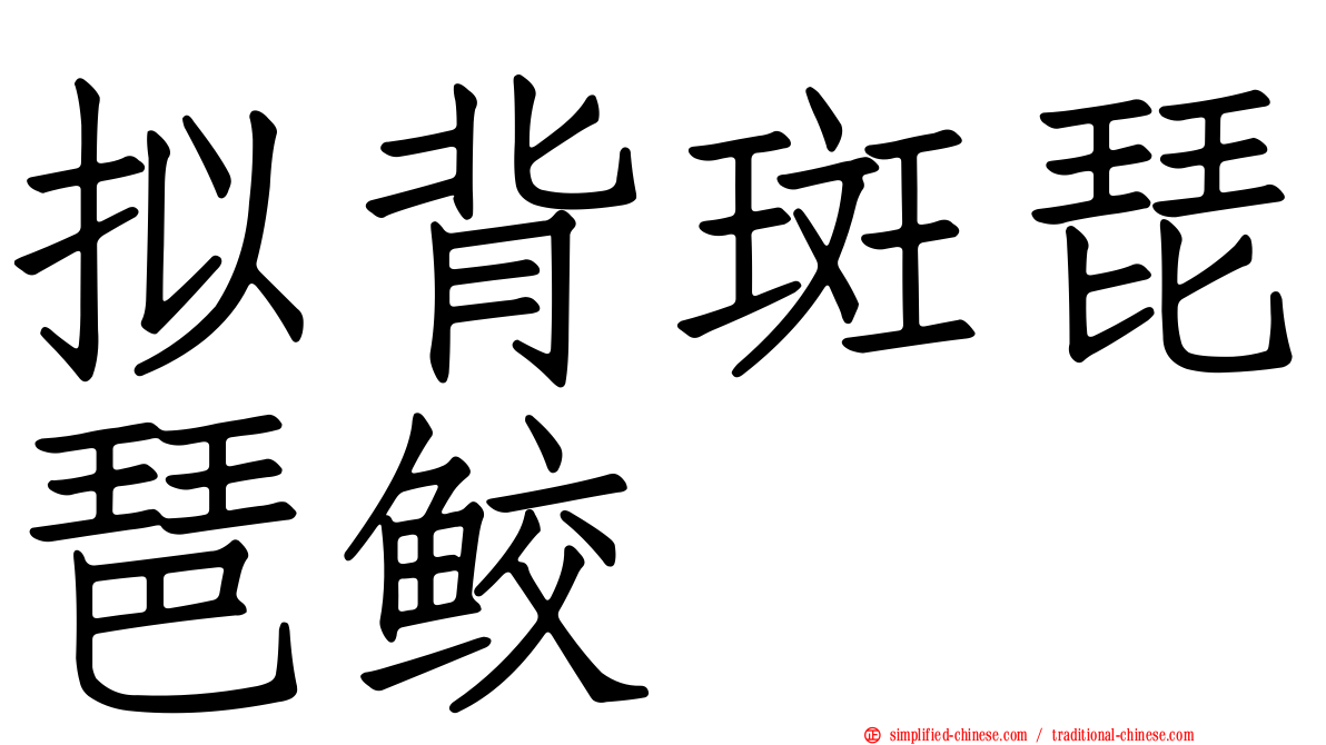 拟背斑琵琶鲛