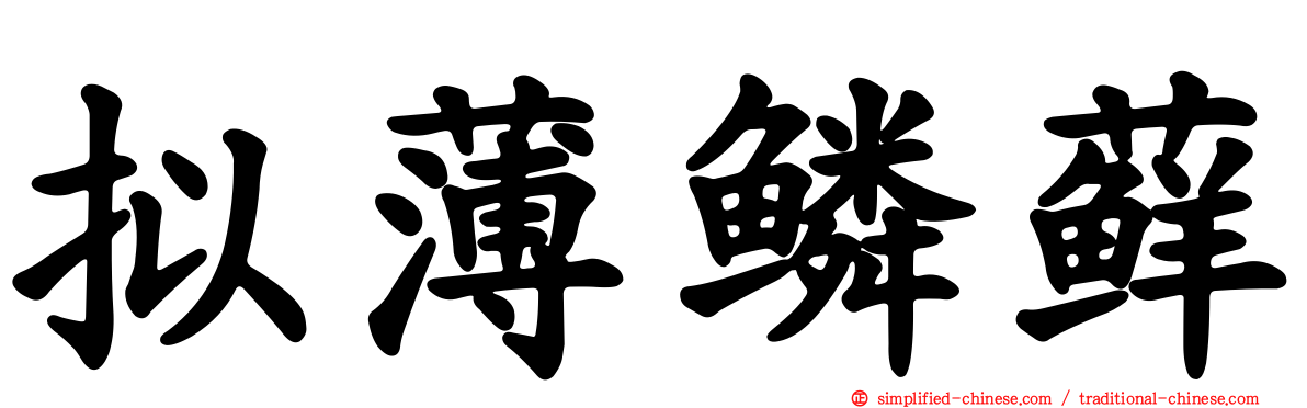 拟薄鳞藓
