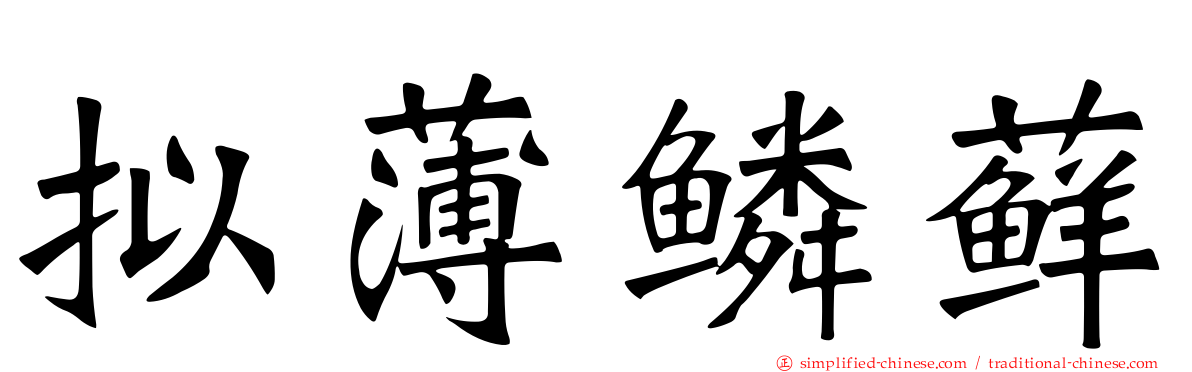 拟薄鳞藓